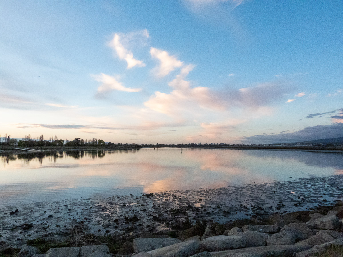 Arrowhead Marsh