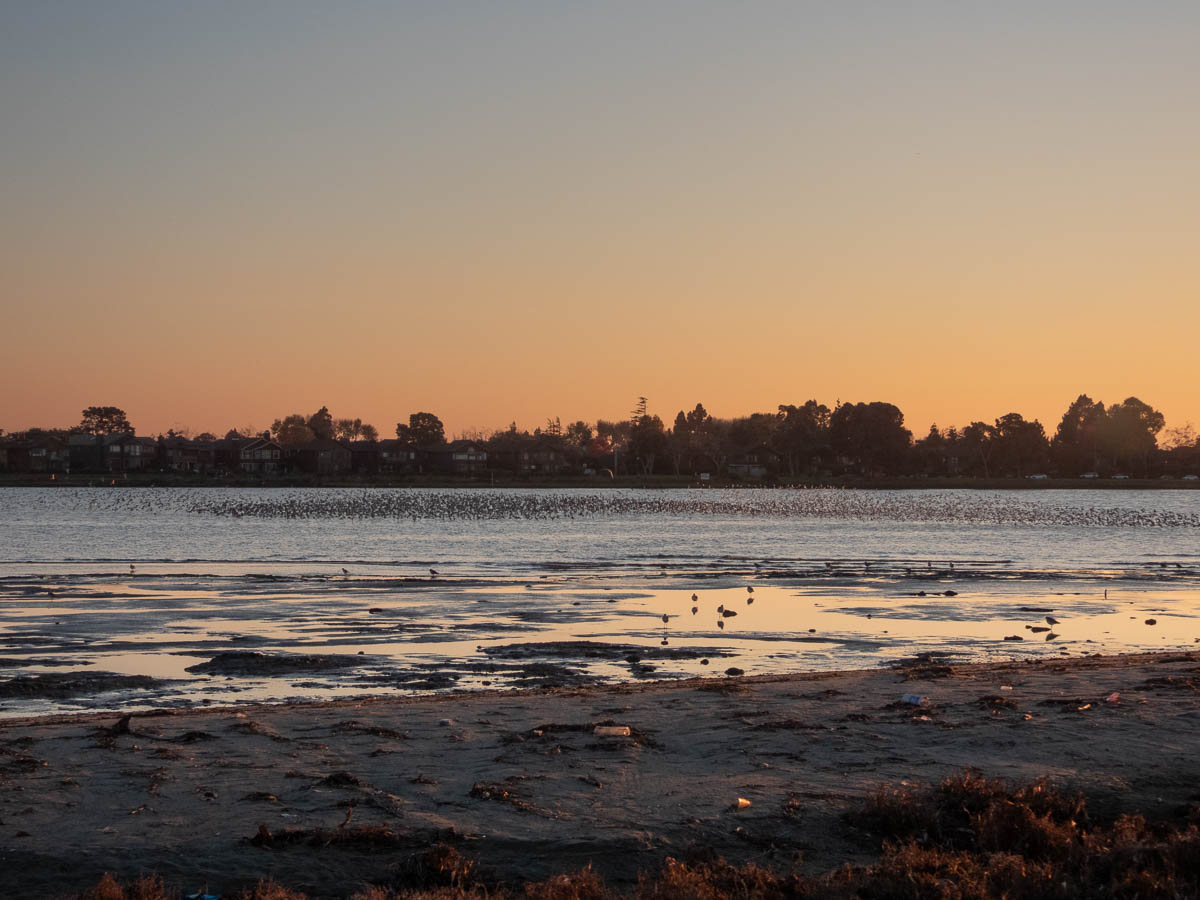 Elsie Roemer Bird Sanctuary