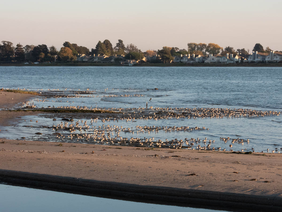 Elsie Roemer Bird Sanctuary