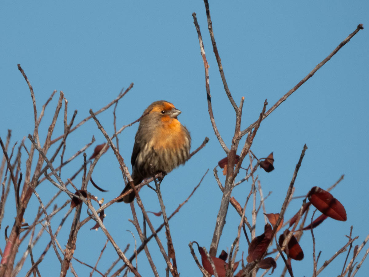 First Visit to Oyster Bay Regional Shoreline