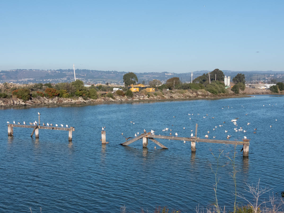 Oyster Bay Regional Shoreline