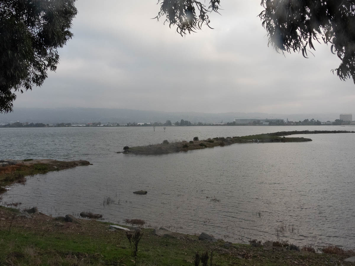 Early Morning at the Bay Trail Vista