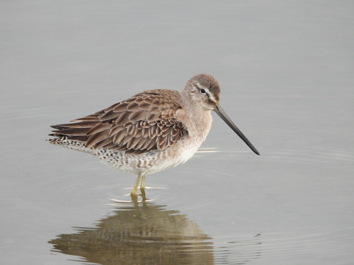 Eden Landing Ecological Reserve