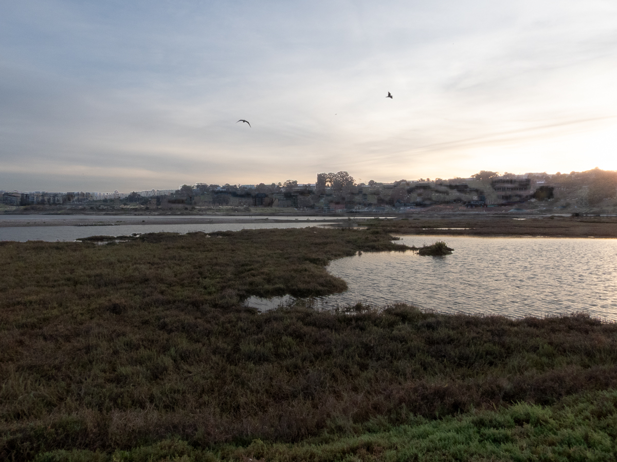 Heron’s Head Park